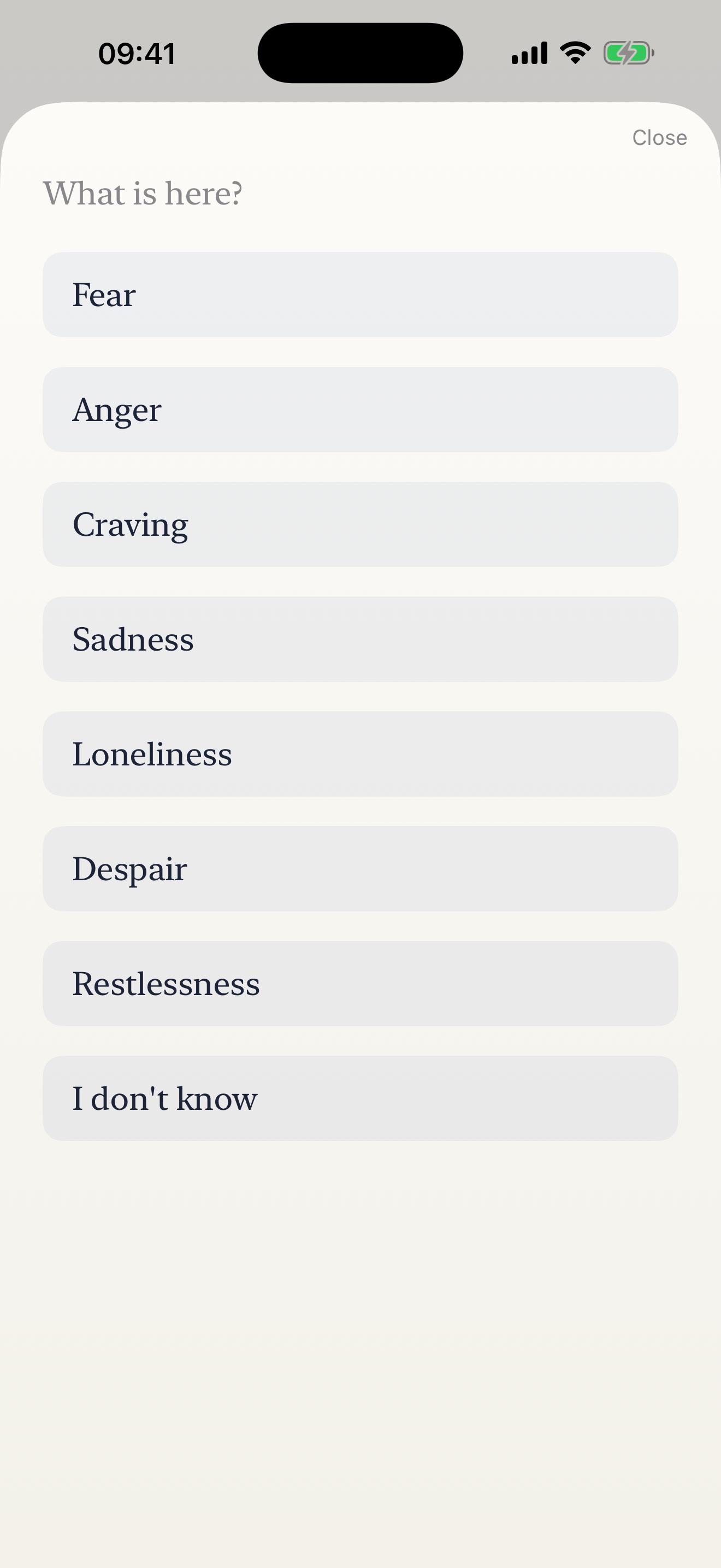 Advaita Ray Right now choices